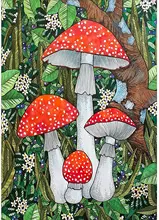 Diamond Painting Kits for Adults 5D DIY Diamond Art Craft Paint with Full Round Drill for Home Wall Decor Mushrooms Art Painting
