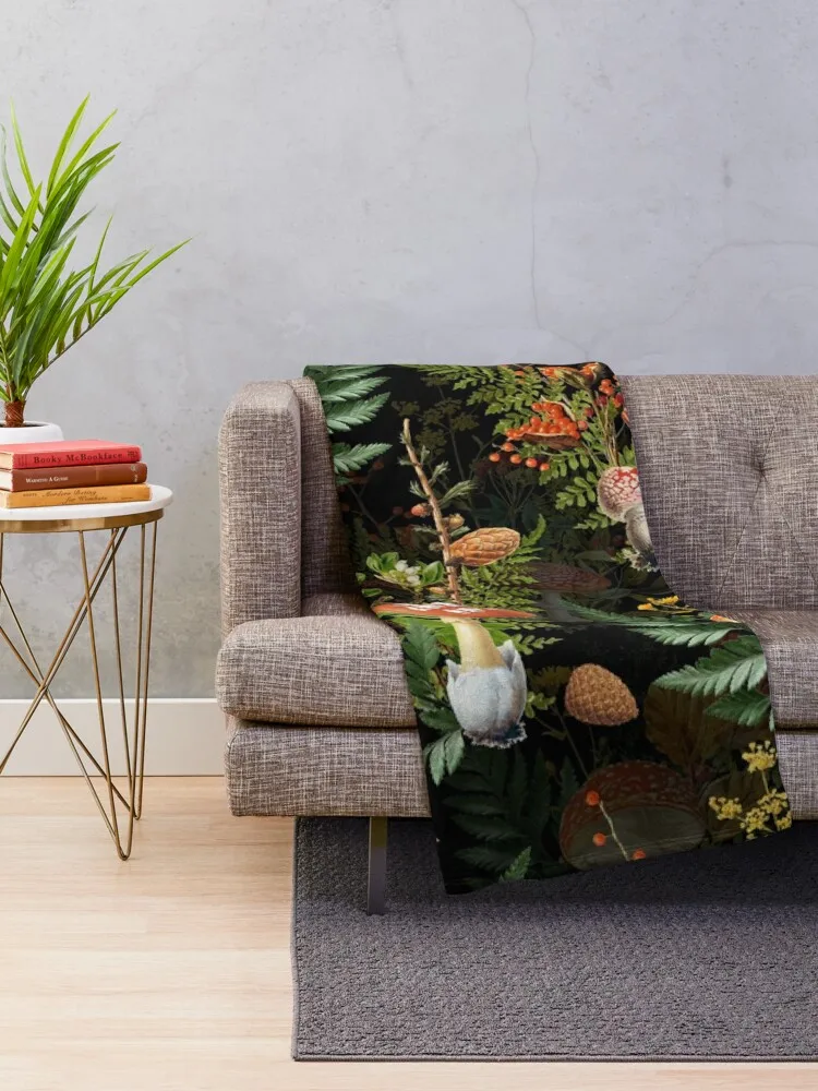 ��Ʈ�� ���, �ε巯�� ���� ���� ���� ���, �ܿ� ���� ���, ���� �� ������ ���, ������ ��Ƽ�� ����