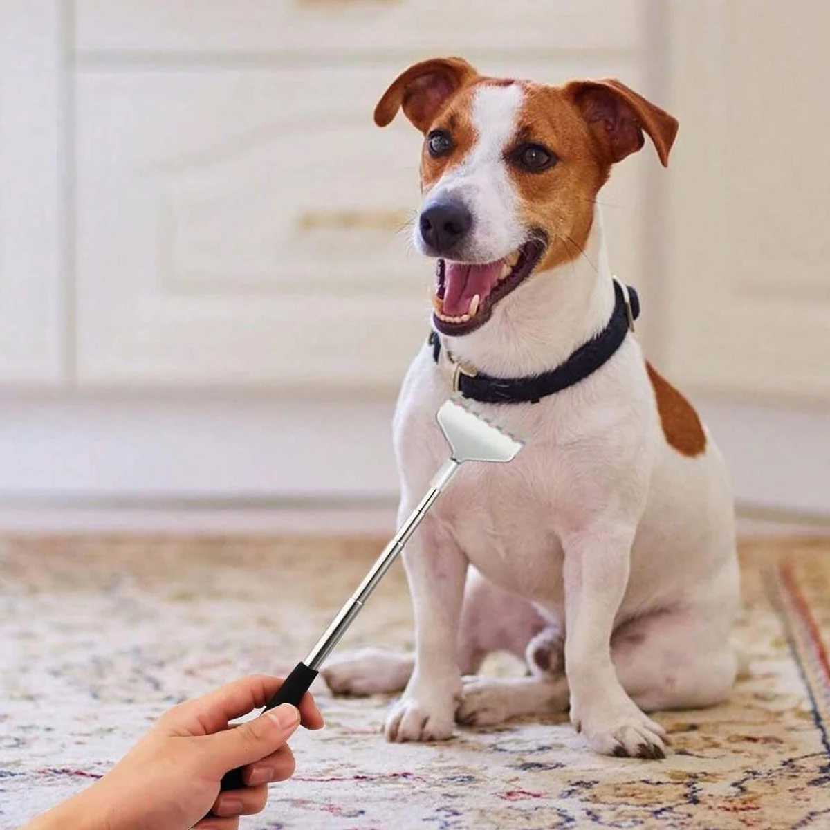 Extendable Back Scratcher Stainless Steel Portable Telescoping Back Scratchers for Adults Men Women with Rubber Handles