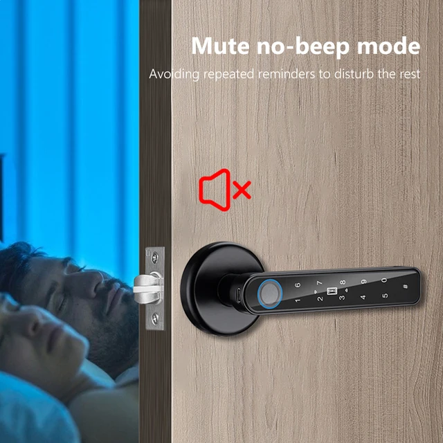 Door Lock Anti Peeping Fingerprint Security Handle Lock TTLOCK APP Control Type-C Emergency Charge for Home Office Glass Doors 4