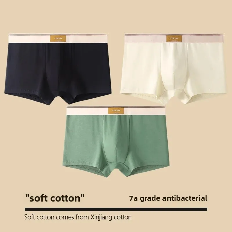 Cloth label [pure cotton -3 pack] black + beige + Bean Green