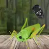 RC Grasshopper Toy Remote Control Animal Toy for Kids 6 And Up Children 3