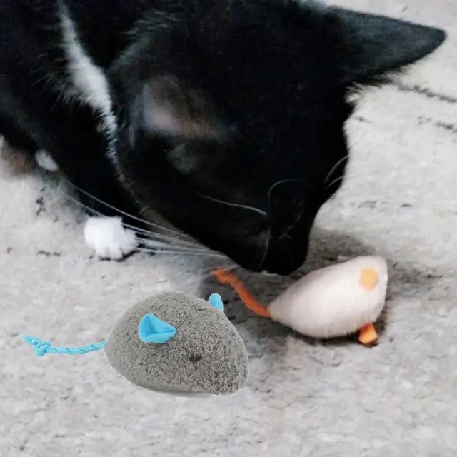 2pcs Funny Plush Soft Interactive Cats Training Toy Simulated Mouse Fake Mice Catnip Toy 2pcs Funny Plush Soft Interactive Cats Training Toy Simulated Mouse Fake Mice Catnip Toy