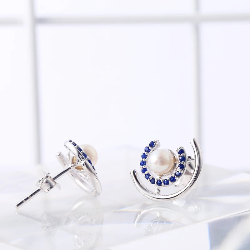 Blue Sapphire  Earring  For Women Various Shapes Of Stud Wedding Jewelry 925 Silver Earring