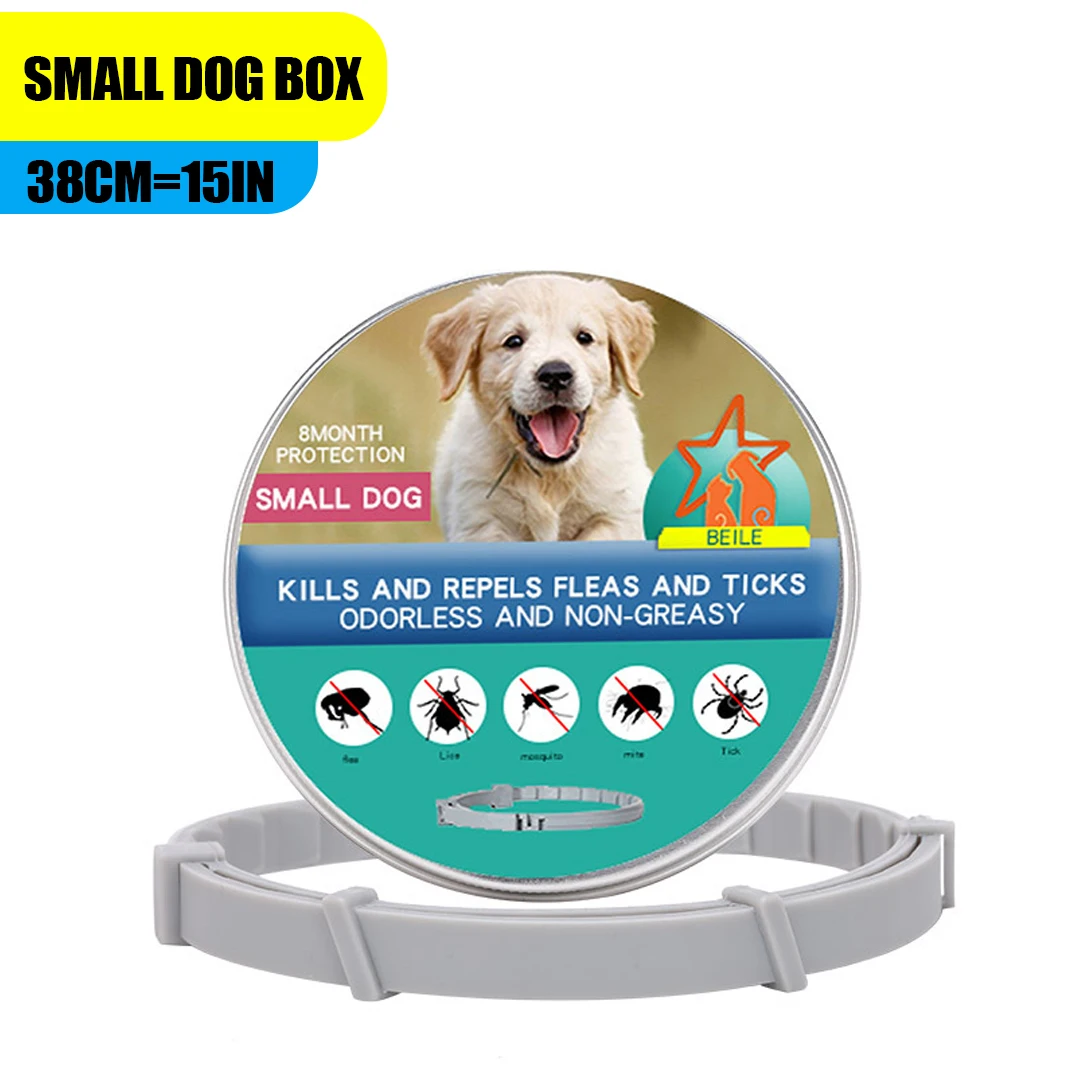Small dog box
