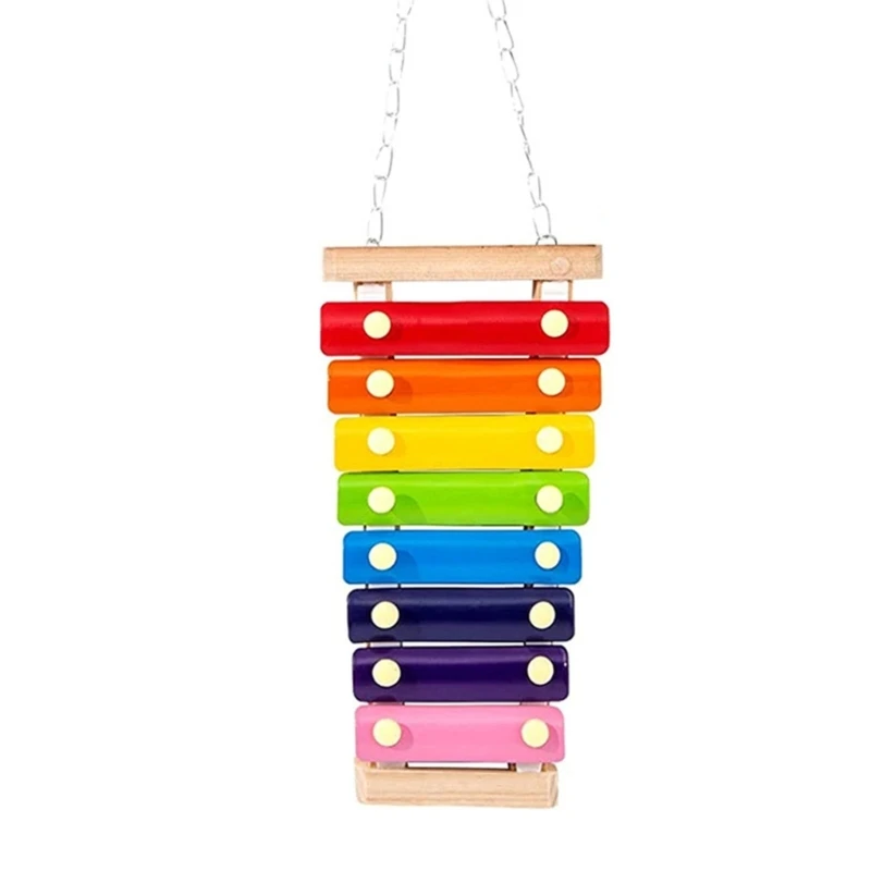 

6pcs Chicken Toy Set Perch Swing Ladder Music Toy Mirror Toy Feeders for Parrots