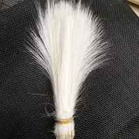 50pcs Natural White Heron Feathers 6-8 inches 5