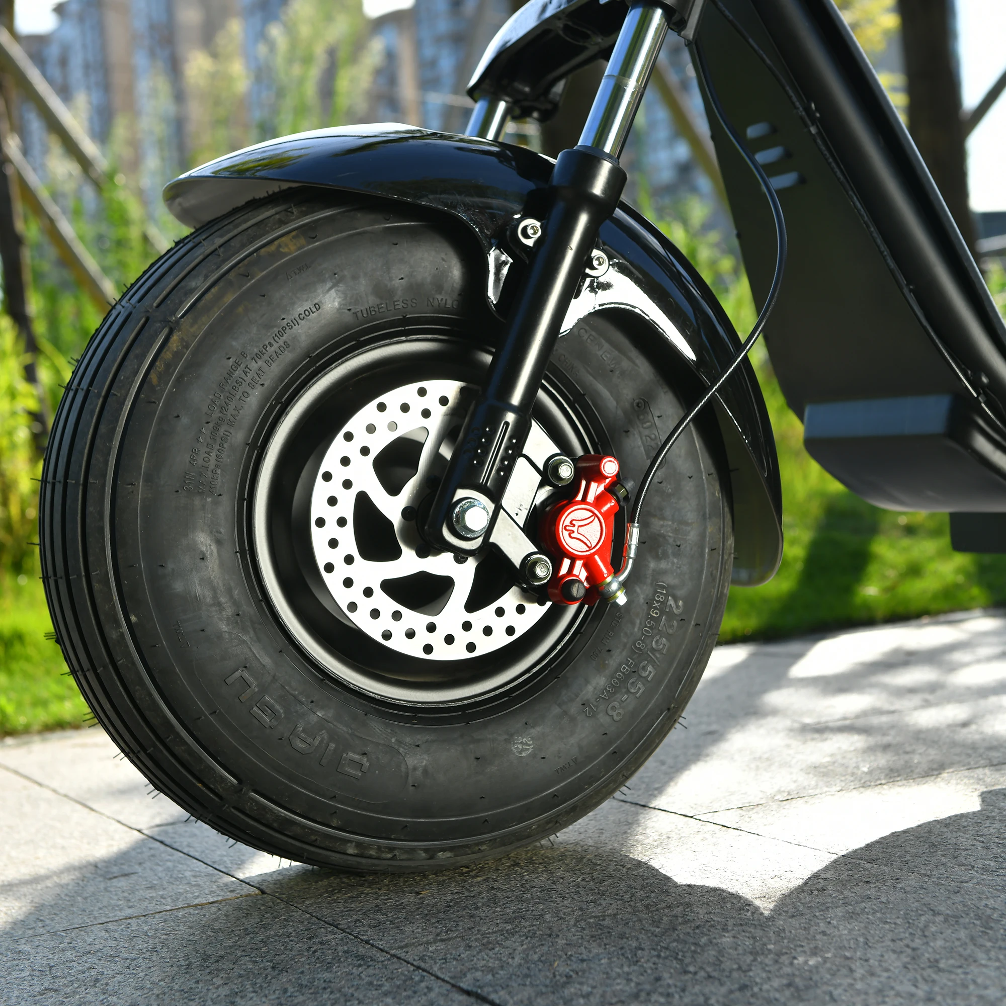 Рисунок 4 - Скутер Citycoco, 60 в 20 Ач, 3000