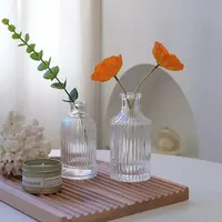 1pc Nordic Creative Transparent Vases for Plant Bottle Flower Pot Hydroponic Terrarium Arrangement Container Flower Table Vase - Image 5