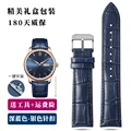Dark blue silver pin