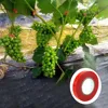  10/20Pcs PVC Plant Branch Tie Tape With 1 Box Staples Garden Package Tool For Garden Banding Machine Vegetable Fruit Tree Tape 4