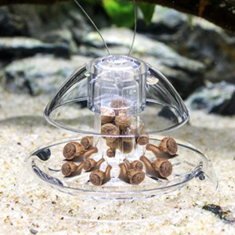 Aquarium Snail & Pest Trap Plastic Catch Box for Planaria, Leeches & Algae Clean-Up