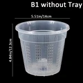 B1