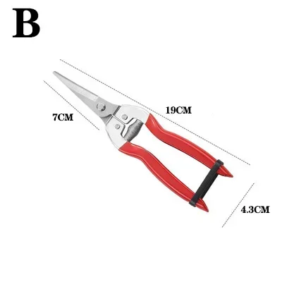 B 19cm
