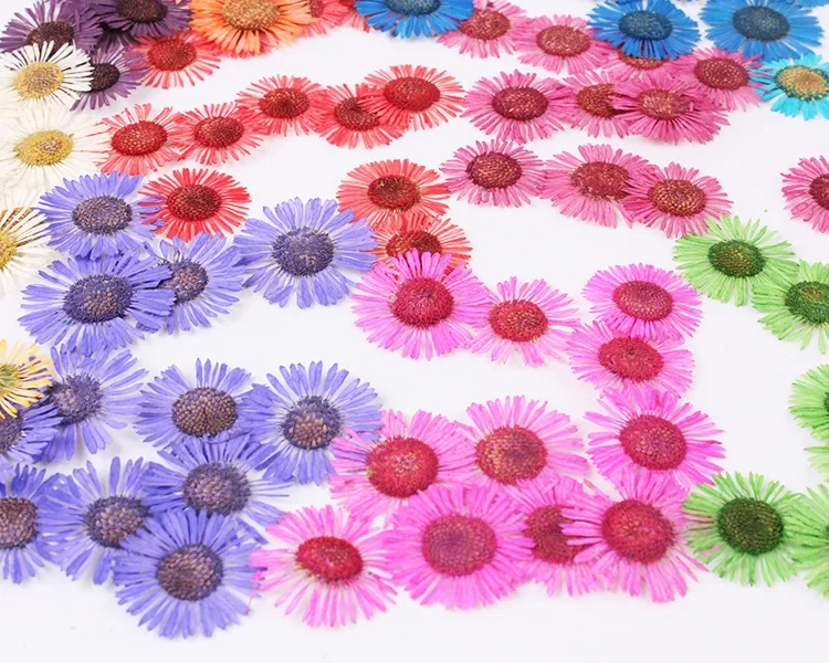 120 Stück gepresste getrocknete Conyza canadensis Füllblume für Epoxidharz, Schmuckherstellung, Postkartenrahmen, Handyhülle, Basteln, DIY – Detail 6