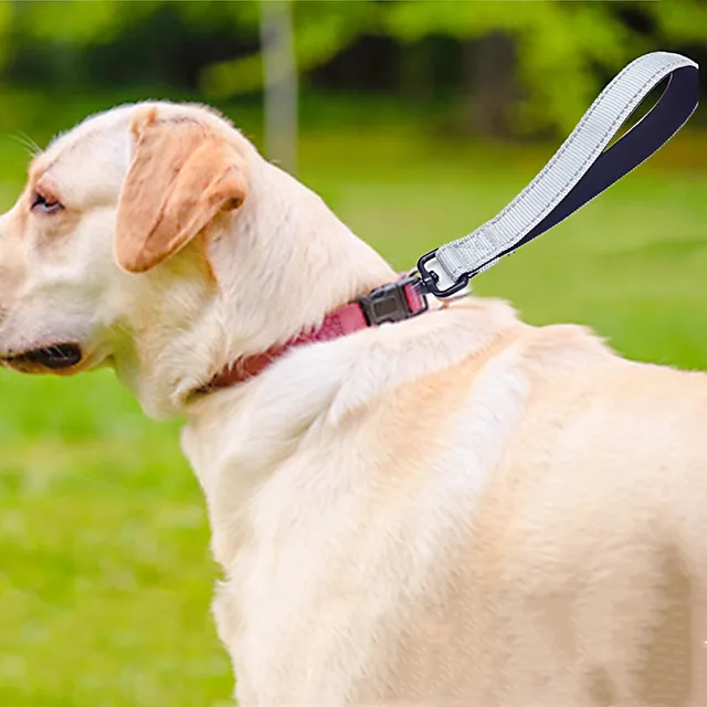 Dog Leash 25cm Dogs Leashes Reflective Short Leash for Medium Large Dog Walking Soft Padded Handle Dogs Leashes Short Pet Chain 4
