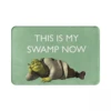 Cartoon Meme Ogre Home Entrance Doormat Decorations Kitchen Hallway Balcony Rugs Living Room Carpet Non-slip Bathroom Foot Pad 1