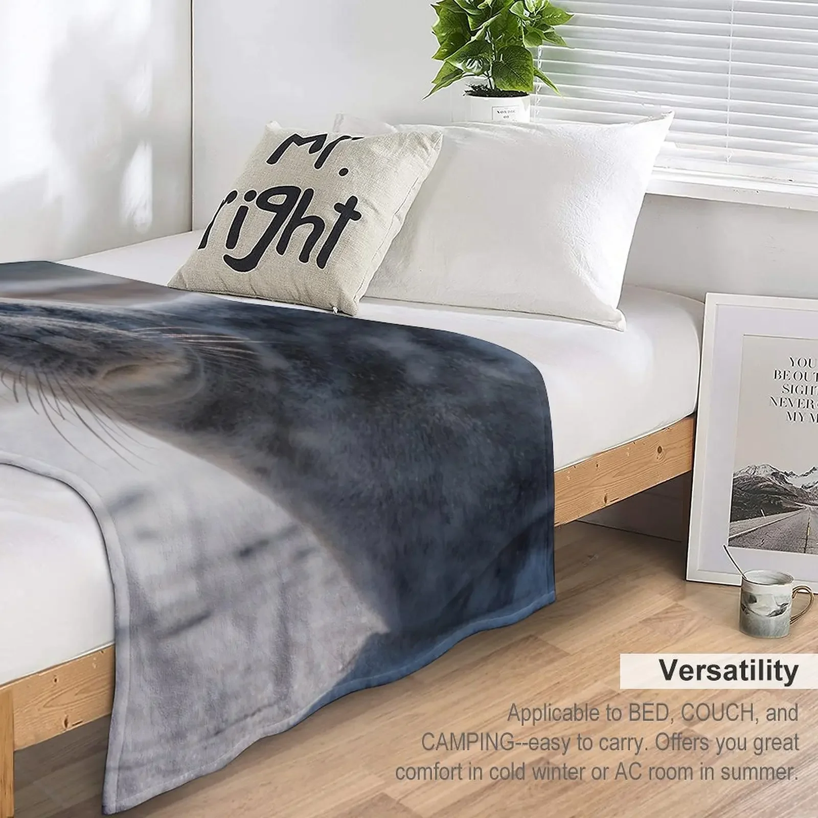 �غ����� ������  ����, ū ���� ���� �� �ٶ󺸰� �ִ� ���, ���Ÿ� �귣��, �ε巯�� ħ��, ����ִ� ���� ���