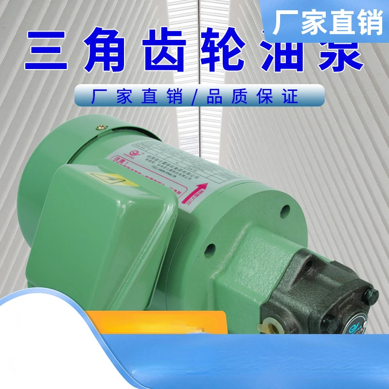 

Oil pump motor cycloidal pump three-phase electric industrial motor hydraulic gear lubricating pump machine tool lathe gear