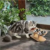 Anti Knock Pet Food Bowl with 3 Stainless Steel Bowls Wooden Pet Bowl Rack  Adjustable and Detachable Suitable for Cats and Dogs 4