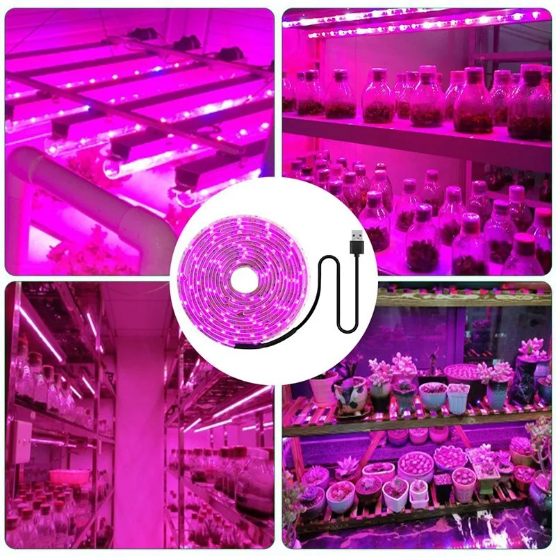 DC 5V USB LED 성장 조명 풀 스펙트럼 1-5m 식물 조명 성장 LED 스트립 식물 램프 용 야채 꽃 모종 성장 텐트