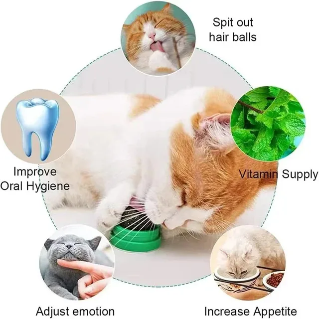 Catnip Wall Scratching Post 4