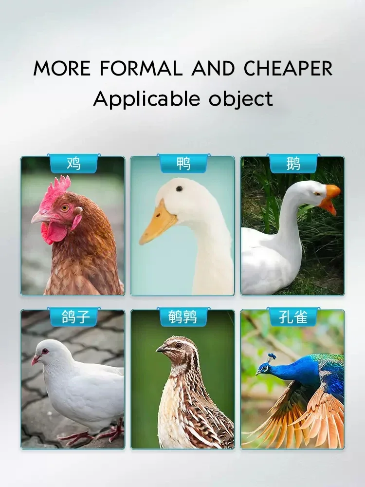 Raw feather vegetarian chicken with Rutin chicken electrolytic multidimensional animal vitamin trace elements feather powder