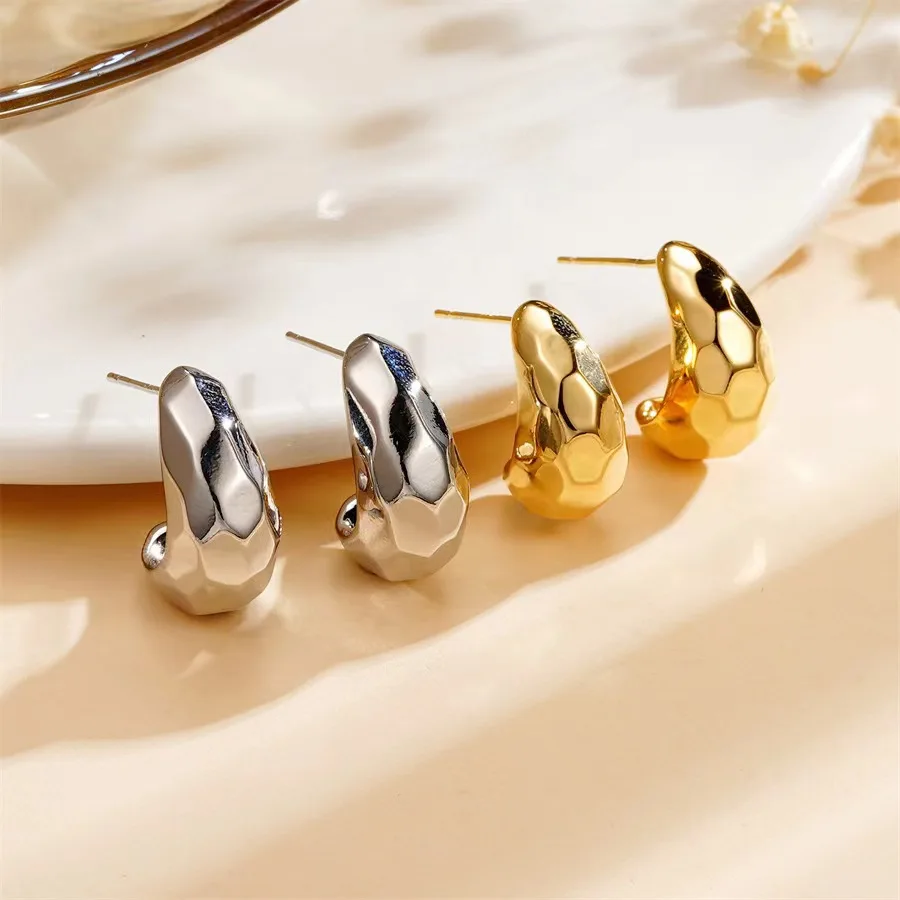 Cross-border European and American Simple and Versatile Women's Drop 316 Stainless Steel Earrings Light Luxury Trend