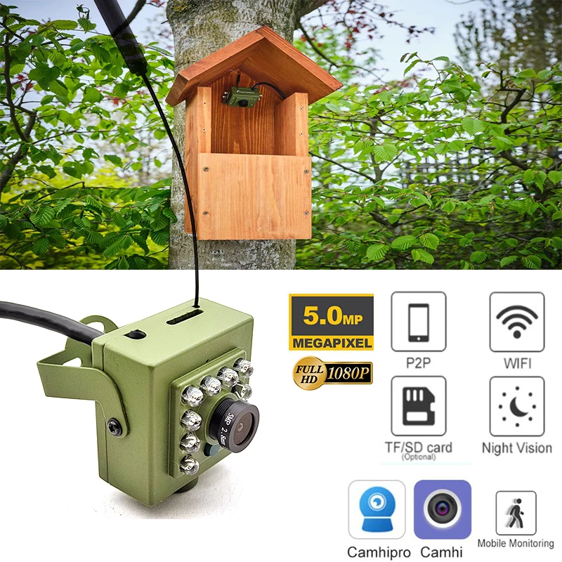 녹색 Camhi 와이파이 버드 박스 카메라 키트, RTMP 라이브 오디오, 1920P, 1080P, IR 컷, 나이트 비전, RTSP, FTP, 미니 IP, IPC, 애완 동물 둥지, 조류 관찰