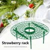 Plastic Strawberry Growing Support Stand Flower Pillar Plant Vegetable Climbing Vine Props for Gardening Accessories 6