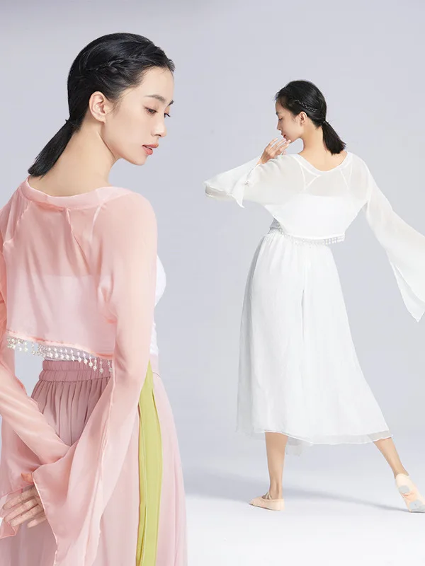 

Classical Dance Clothes Gradient Gauze Top Elegant Body Rhyme Chiffon Practice Blouse Chinese Fairy Hanfu Long Sleeve