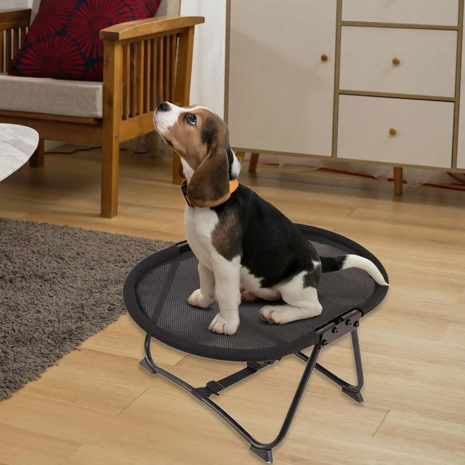 Elevated Pet Bed Foldable Outdoor Gifts Versatile Indoor Iron Frame Comfortable Heavy Duty Accessories Pet Supplies Furniture Elevated Pet Bed Foldable Outdoor Gifts Versatile Indoor Iron Frame Comfortable Heavy Duty Accessories Pet Supplies Furniture