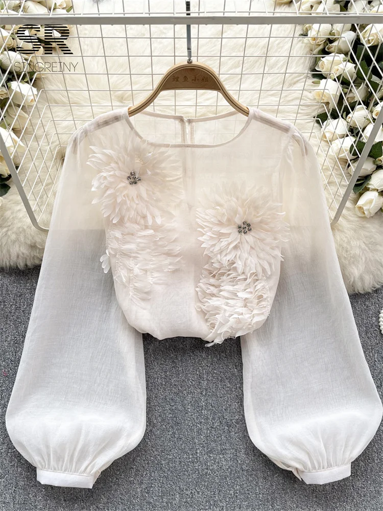 【莉奈】DAISY LIN Blouse Sheer Puff　チュニック DAISY LIN | Official website and Online Boutique