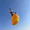 Large soft kites pendant kites windsocks kite reel parafoil kites board inflatable alien kite professional kite 3d Eagle kite 2