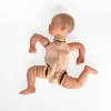 NPK 20inch Finished Doll Size Already Painted Kits  Valentina Very Lifelike Baby Doll with Many Details Veins 5
