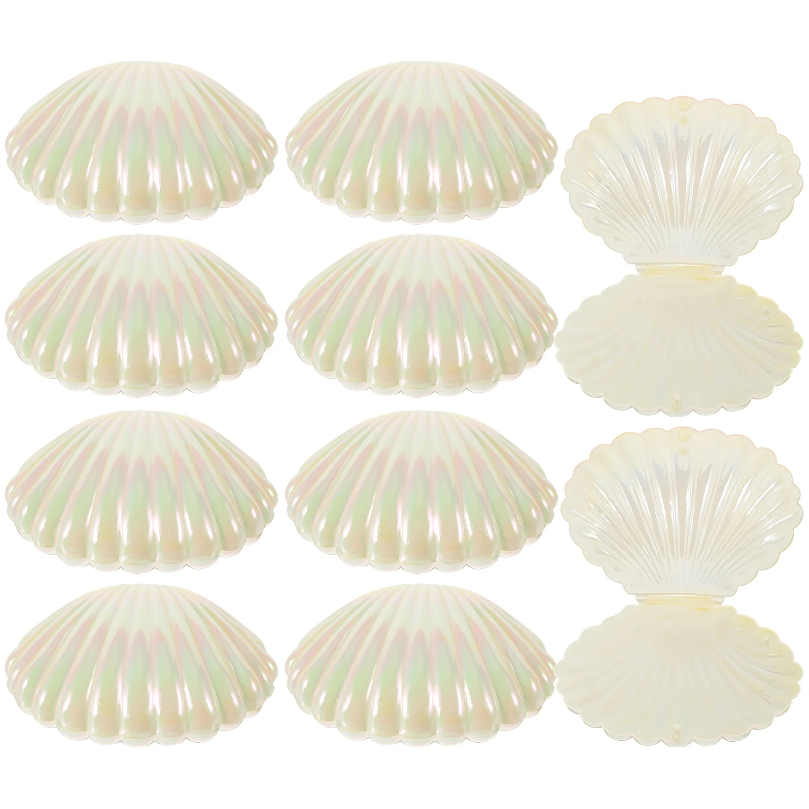 

Candy Box Sea Shells Party Favor Containers for Halloween Trick or Treat Baby Shower Birthday Wedding Party Decoration