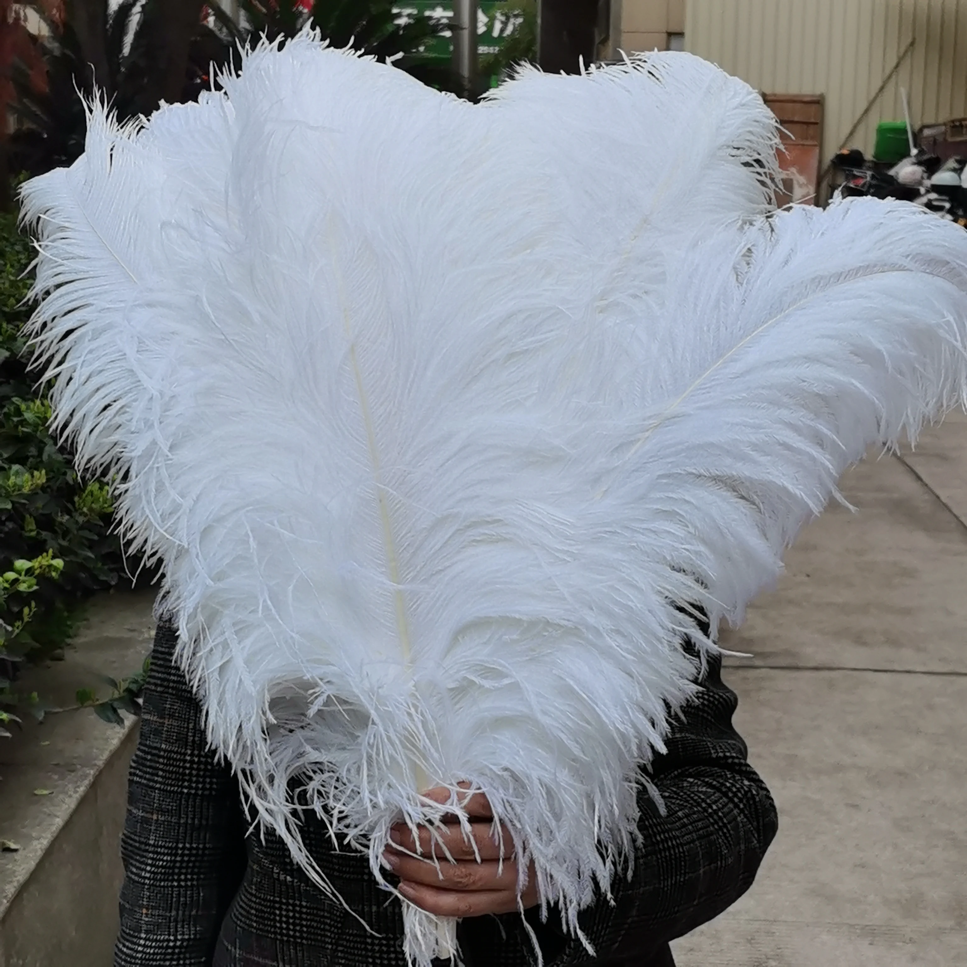 15-60cm Natural Ostrich Feathers Craft Feathers Natural Feathers for DIY Wedding Party Stage Costume & Home Decor