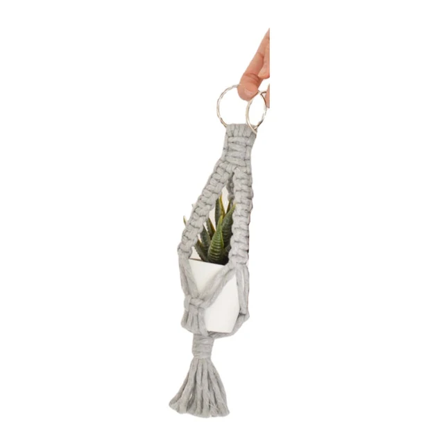 Air Plant Holder 07