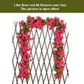 69 rose red