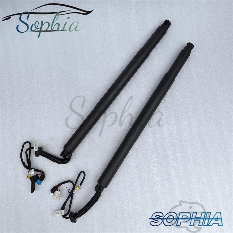 

2PCS Car Rear Electric Tailgate Strut for -BMW X6 F16 2016-2017 Left 51247434043 Right 51247434044 1 Pair Auto Parts