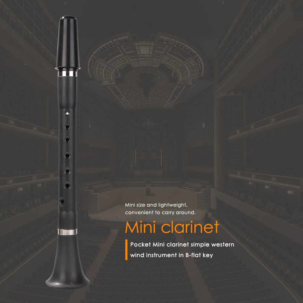Mini Bb B Flat Clarinet Clarionet Woodwind Instrument for Beginners Practice Musical Instrument for Tyro Music Lover