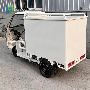 Triciclo Elettrico Personalizzato con Box Refrigerato per Catena del Freddo, Trasporto Mobile a Bassa Temperatura
