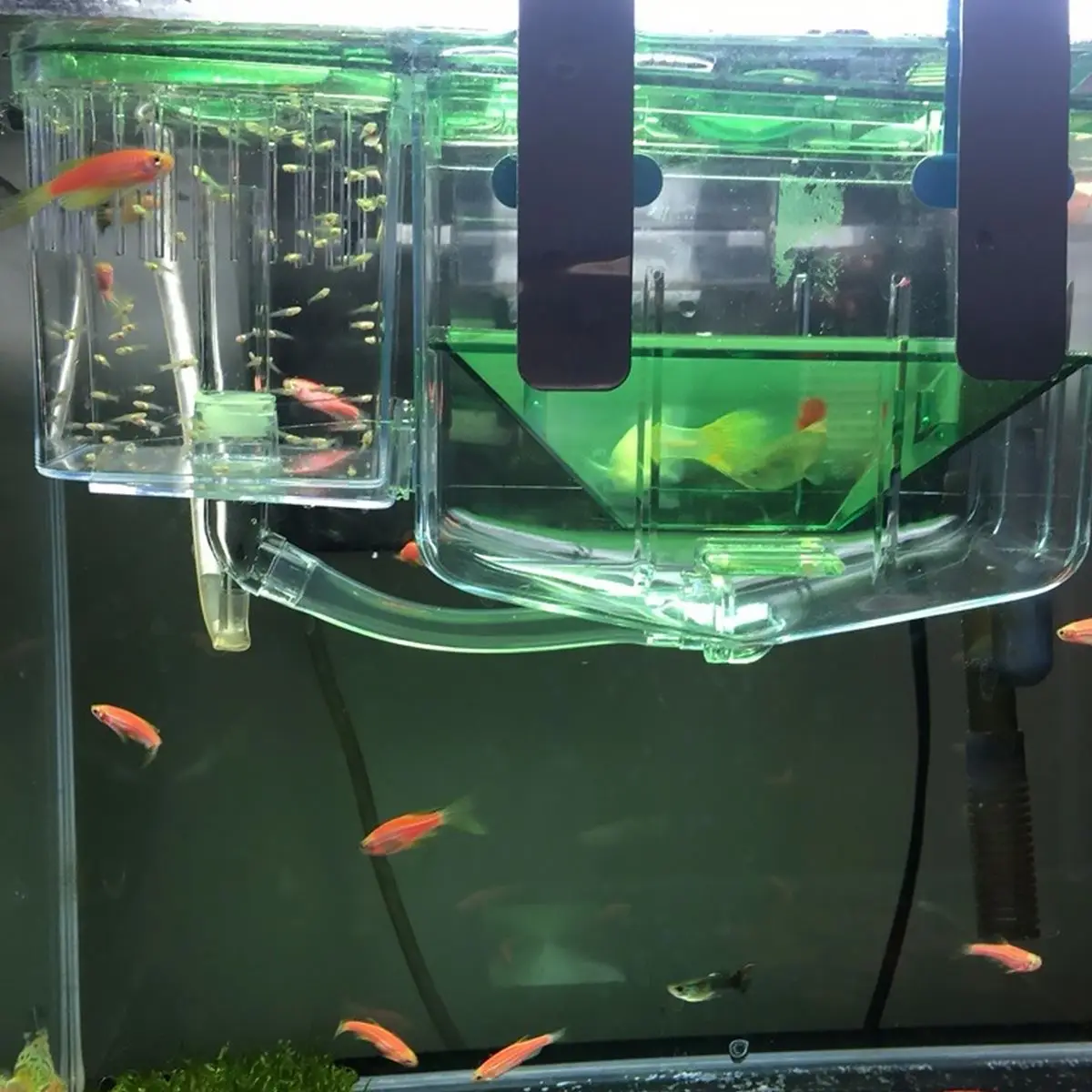 Fish Breeding Isolation Box Self-Guided Incubator Box Aquarium Fish Tankss Hatching Seedlings Case