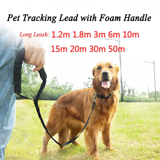 Long Nylon Rope Dog Lanyard Recall Training - 3m 6m 10m 15m 20m 30m Pet Leash - Great for Outdoor Play, Camping or Backyard 2