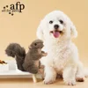 All For Paws Dog Faux Fur Squirrel Toys For Dogs Animal Realistic Squeaker Wildlife Fleece No-Toxic Dolls Pet Accessories 4