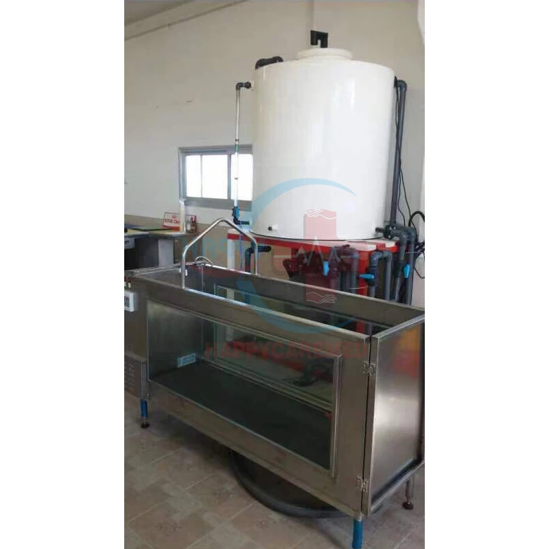 Рисунок 5 - Электрическая беговая дорожка для собак