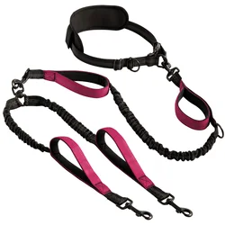 Hands - Free Dual Dog Leash with Padded Handles and Reflective Stitching for Medium and Large Breeds (Rose Red)