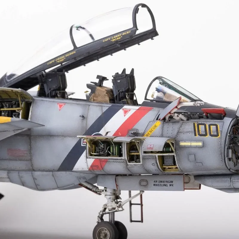 F-14D Supertomcat 1/48 未組立モデルキット スーパーtomcat組み立て飛行機モデルキット、特別版プラスチック
