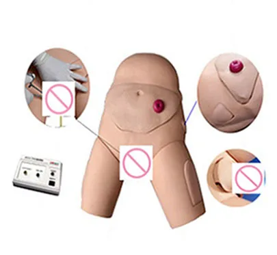 

Interchangeable catheterization and Enema Task Trainer