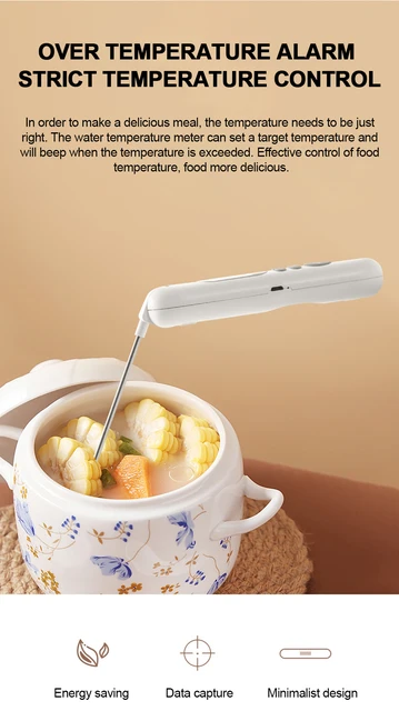 Thermomètre Numérique à Sonde Pour Aliments - Plage -50°C à +300°C - Précision 1% - Pour Viande, BBQ, Cuisine
